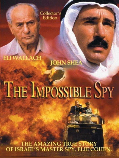 Póster de El espía imposible
