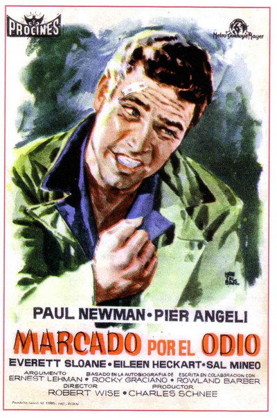 Póster de El estigma del arroyo