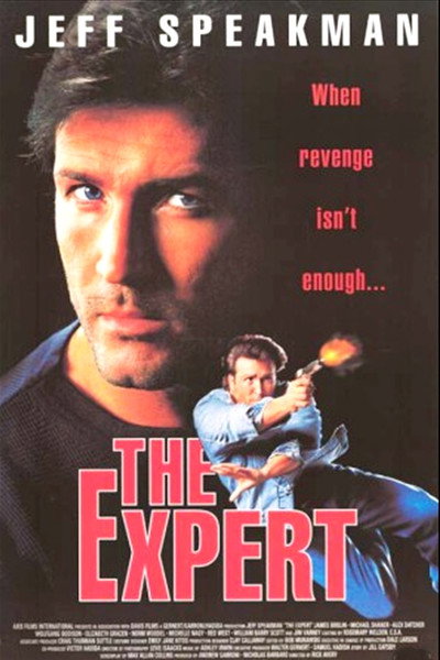 Póster de El experto