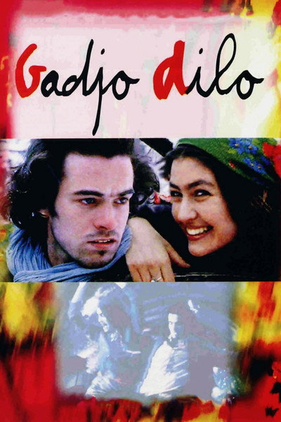 Póster de El extranjero loco: Gadjo dilo