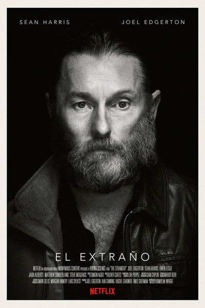Póster de El extraño