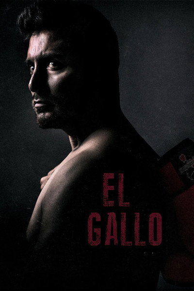 Póster de El Gallo