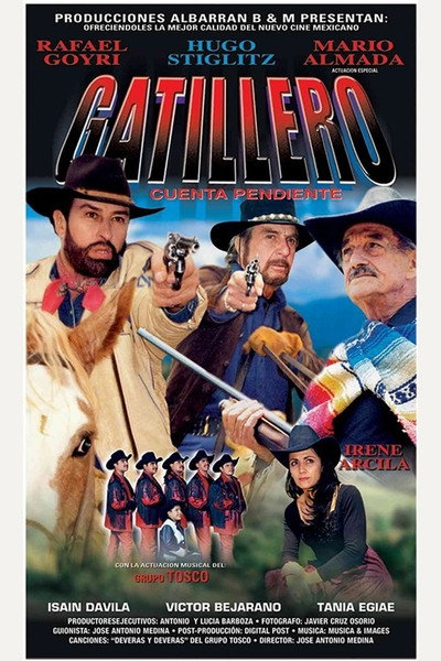 Póster de El gatillero