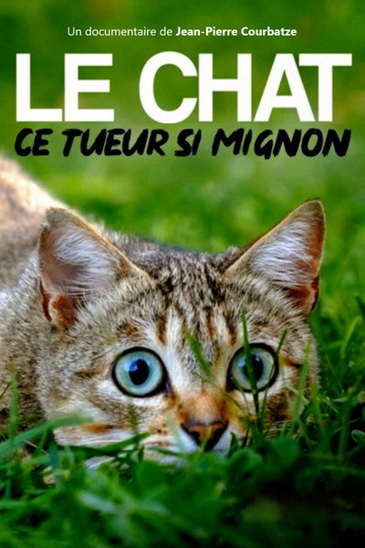 Póster de El gato, ese asesino adorable