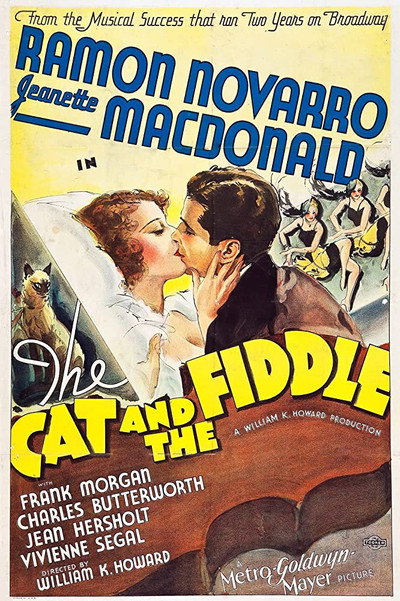 Póster de El gato y el violín