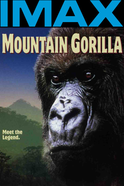 Póster de El gorila de la montaña