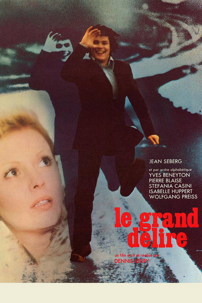 Póster de El gran delirio