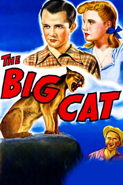 Póster de El gran gato