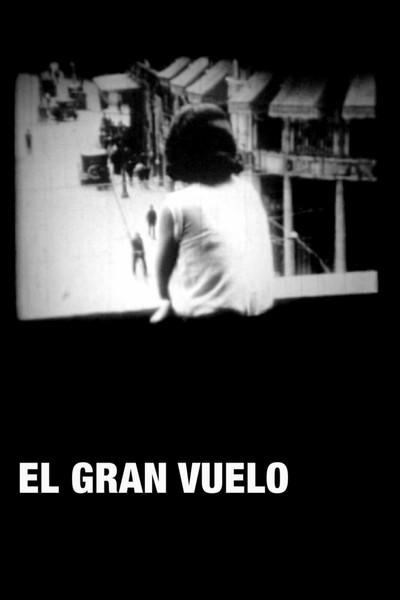 Póster de El Gran Vuelo