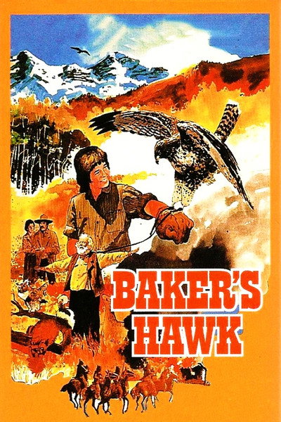Póster de El halcón de Baker