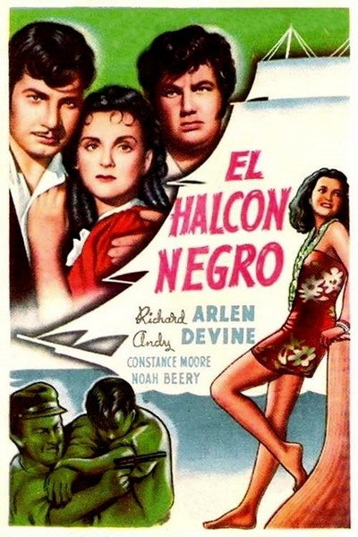 Póster de El halcón negro