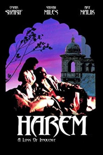Póster de El harén del sultán