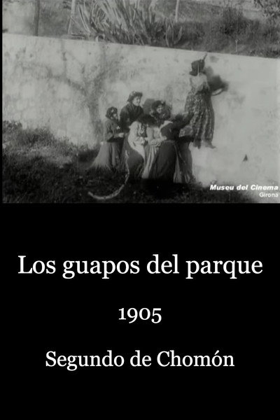 Póster de El heredero de casa Pruna