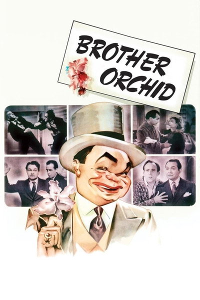 Póster de El hermano orquídea