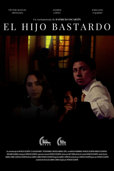 Póster de El hijo bastardo