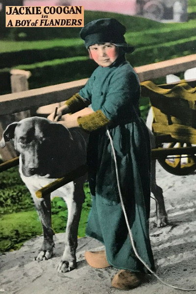 Póster de El hijo de Flandes