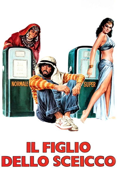 Póster de El hijo del árabe