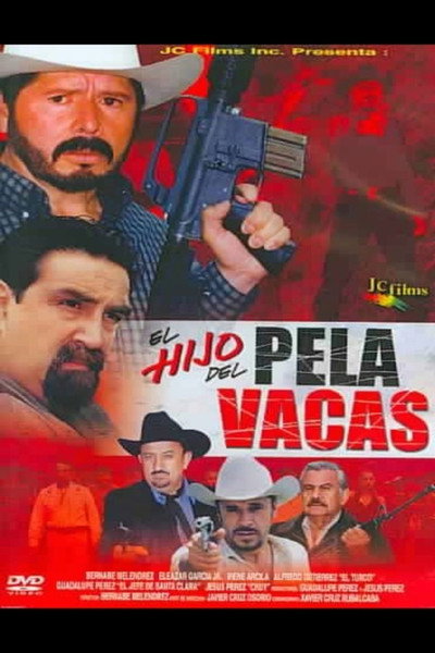 Póster de El hijo del pelavacas