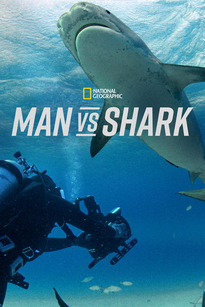 Póster de El hombre frente al tiburón