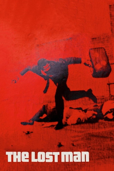 Póster de El hombre perdido