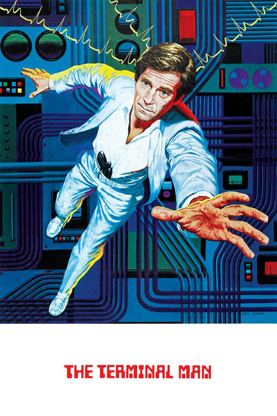 Póster de El hombre terminal