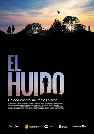 Póster de El huido
