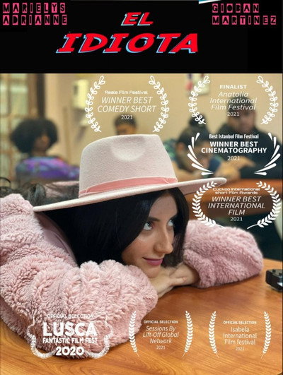 Póster de El Idiota: What an Idiot