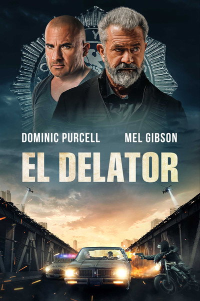 Póster de El informante