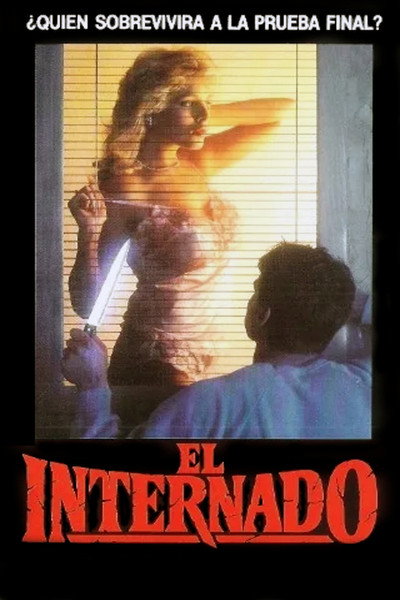 Póster de El internado