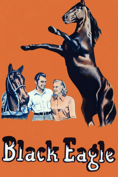 Póster de El jinete negro