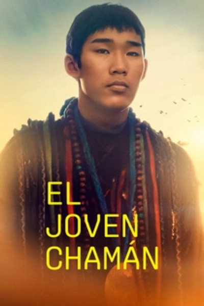 Póster de El joven chamán
