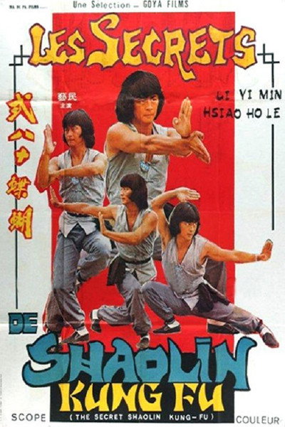 Póster de El kung fu del Shaolin secreto