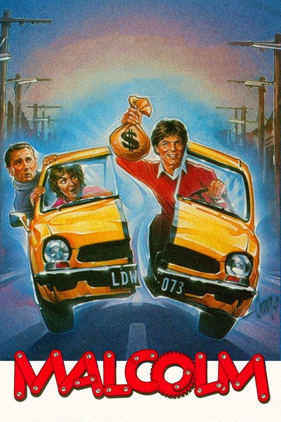 Póster de El laberinto de Malcolm