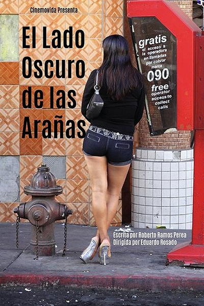 Póster de El Lado Oscuro de las Arañas