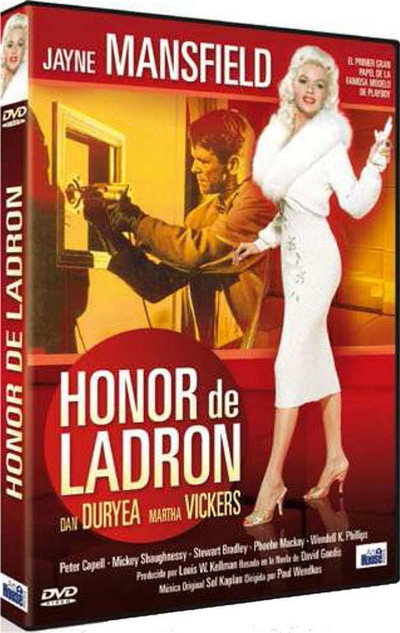 Póster de El ladrón