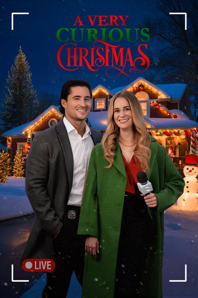 Póster de El ladrón de la Navidad