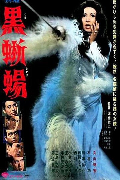 Póster de El lagarto negro