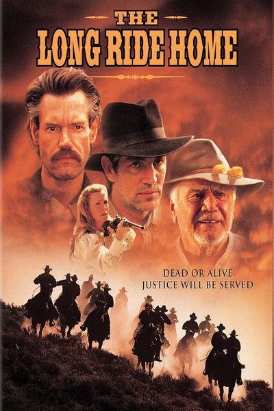 Póster de El largo camino a casa