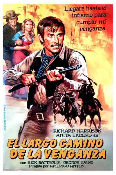Póster de El largo camino de la venganza