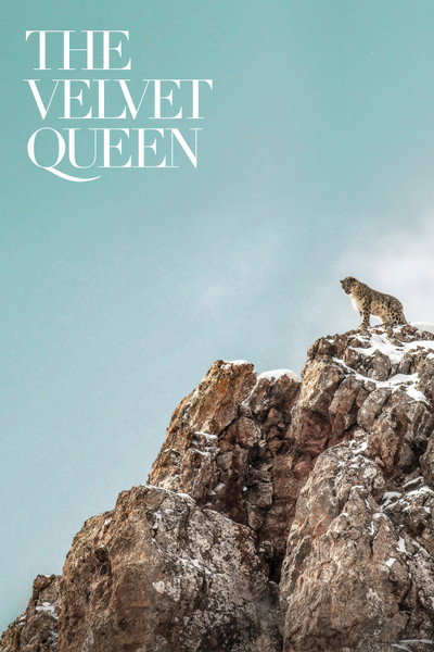 Póster de El leopardo de las nieves