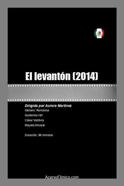 Póster de El levantón