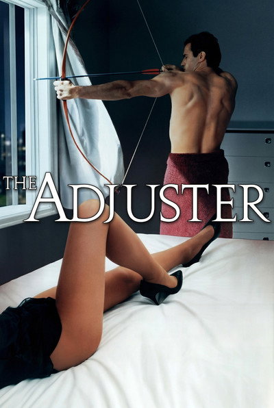 Póster de El liquidador