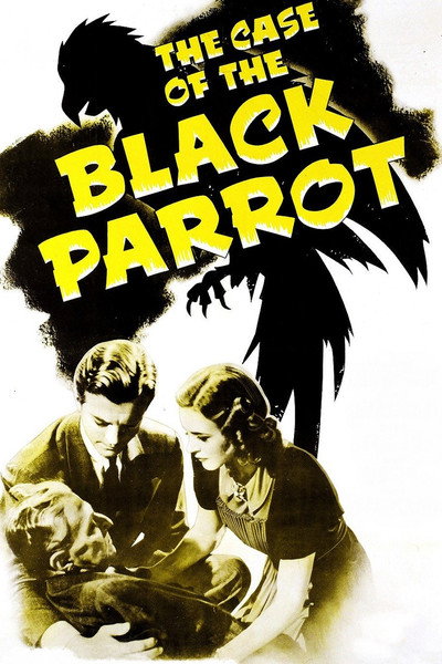 Póster de El loro negro