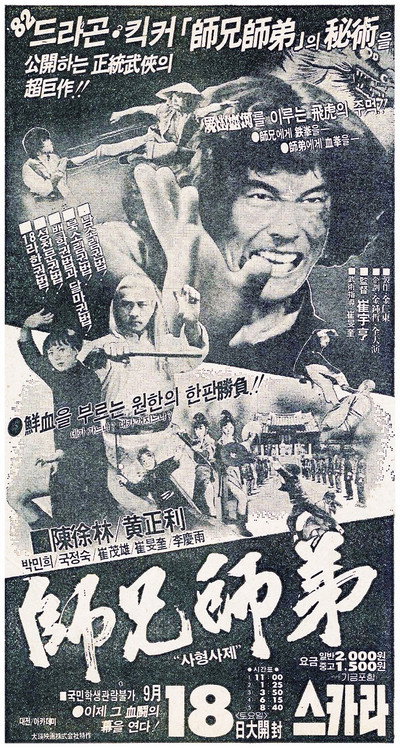 Póster de El Maestro Shaolin