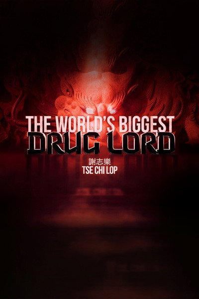 Póster de El Magnate de la Droga