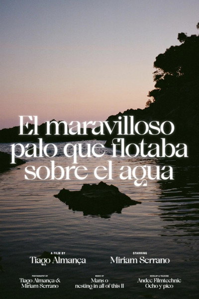 Póster de El maravilloso palo que flotaba sobre el agua