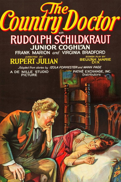 Póster de El médico rural
