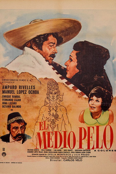 Póster de El medio pelo