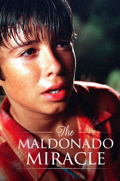 Póster de El milagro de Maldonado
