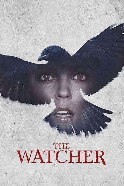 Póster de El misterio de la casa del cuervo